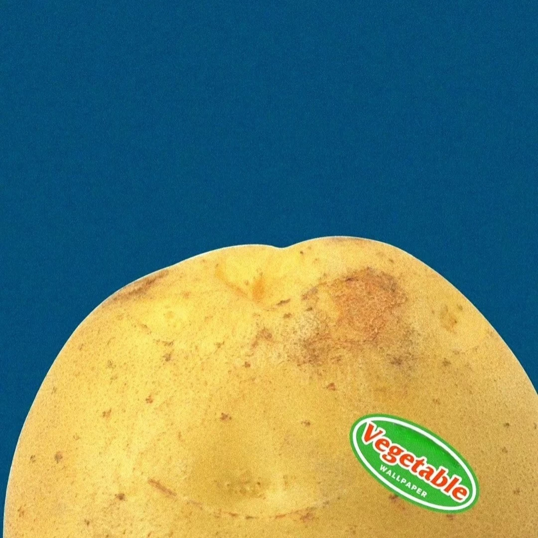 Fresh Potato Glossy