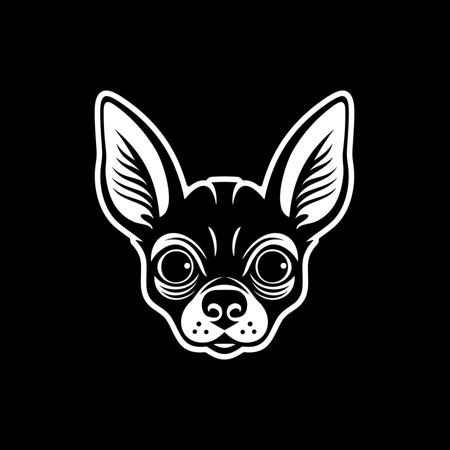 Chihuahua Dog Glossy