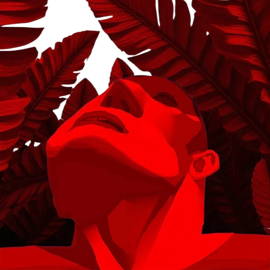 Looking Up At The Jungle Glossy
