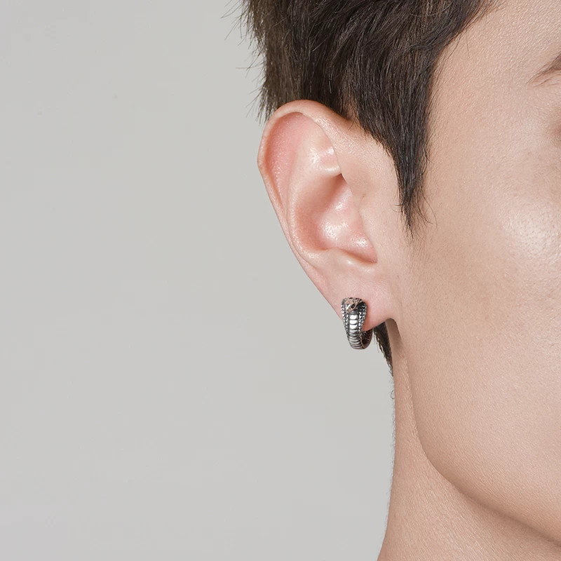 IDEAGEMER Vintage King Cobra Earrings