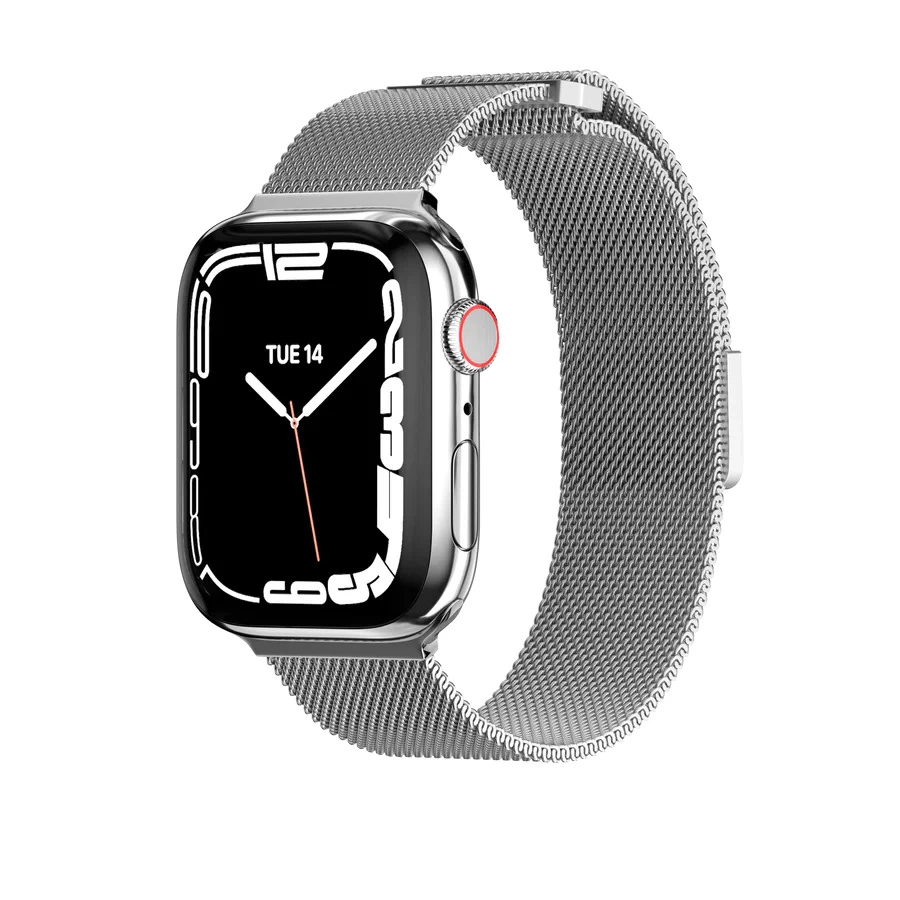 Mesh Stainless Steel Apple Watch Loop Silver